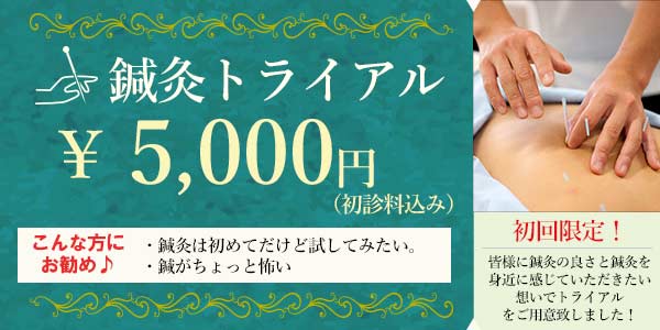 鍼灸トライアルのバナー